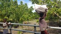 Foto: Begini Kampung di Asmat yang Bersahabat Gulita Tanpa Listrik Foto: Begini Kampung di Asmat yang Bersahabat Gulita Tanpa Listrik